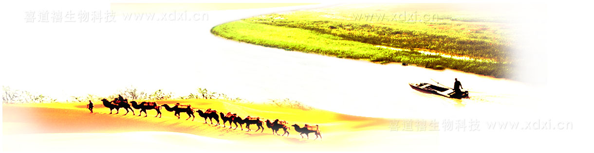                 《畫(huà)     廊》