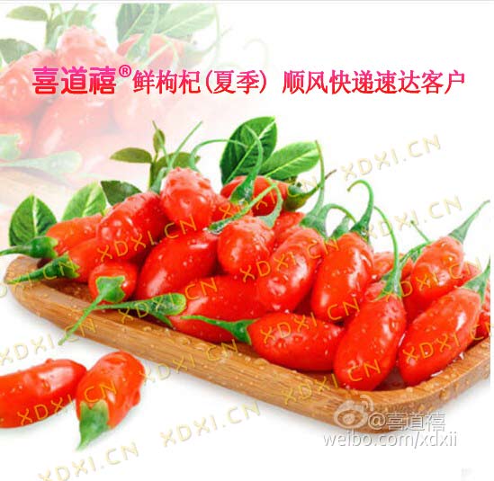        【寧夏枸杞樹生長(zhǎng)周期】